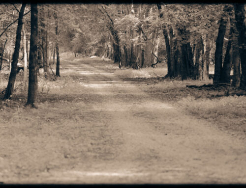 Rock, Paper, Scissors