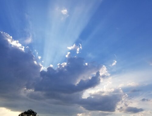 Moving Forward and Others